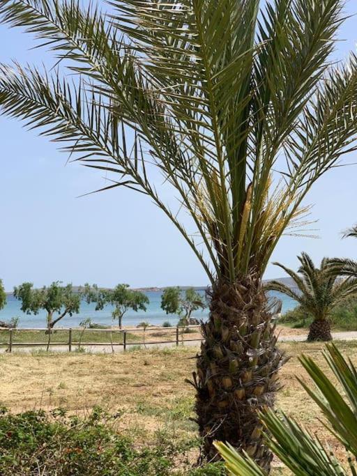 Appartamento Studio At Beautiful Beach Kouremenos Anevato Esterno foto