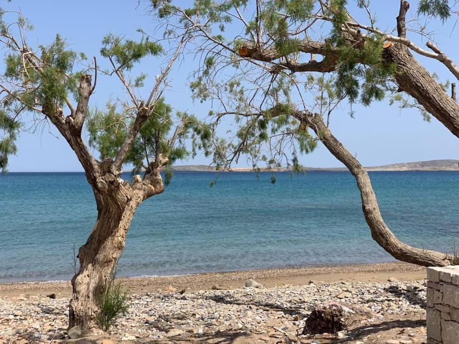 Appartamento Studio At Beautiful Beach Kouremenos Anevato Esterno foto
