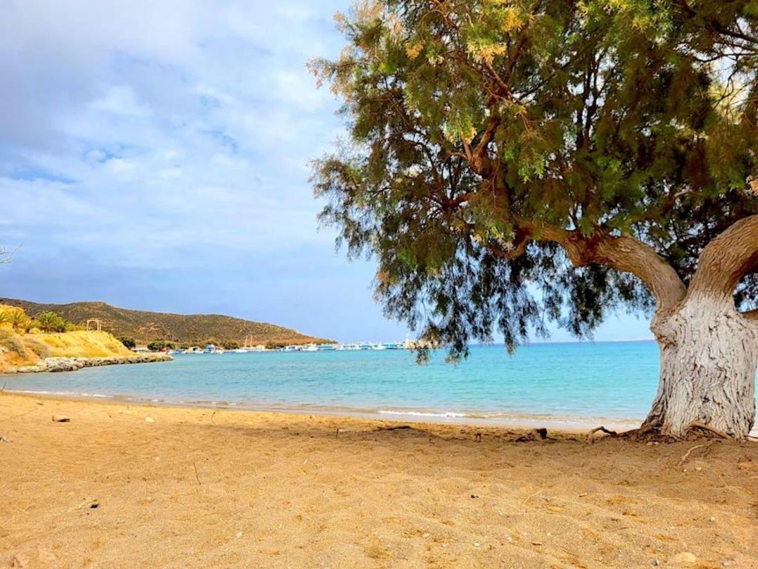 Appartamento Studio At Beautiful Beach Kouremenos Anevato Esterno foto